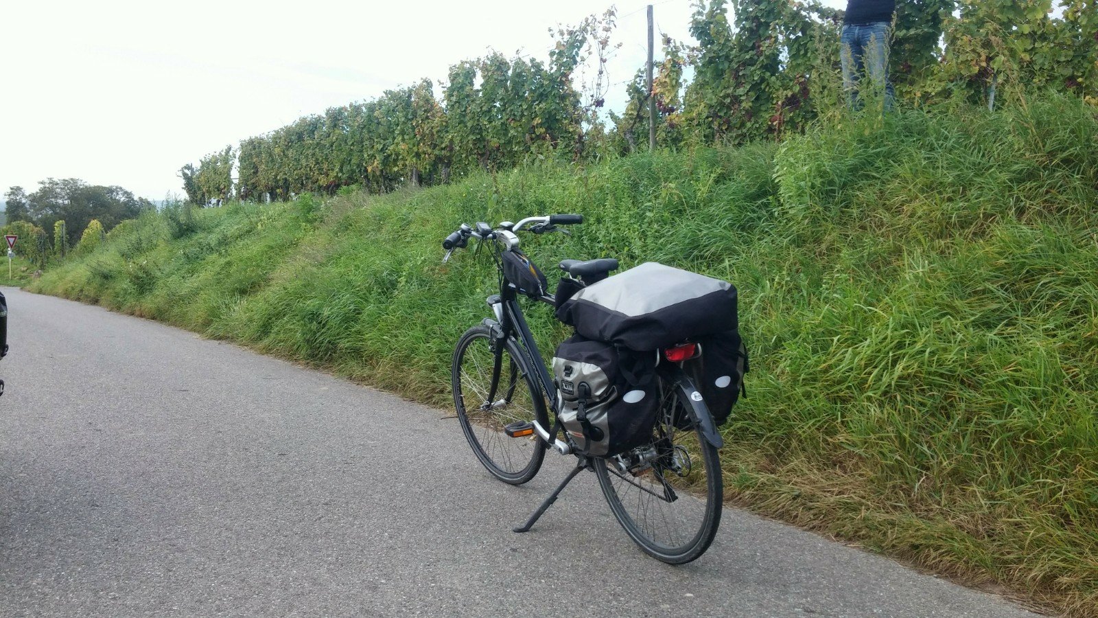Bepakte fiets tussen de wijngaarden van de Elzas