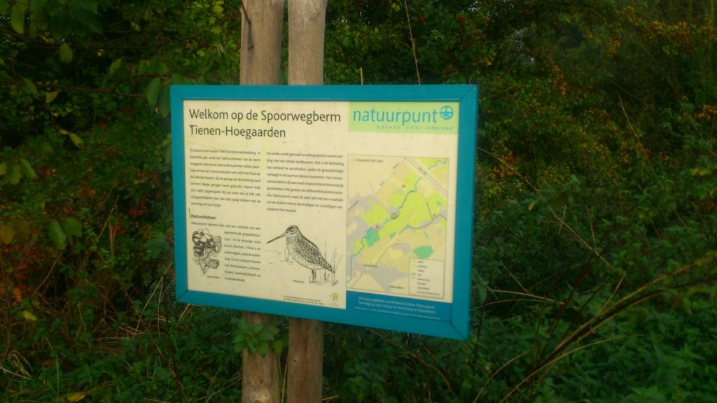 Informatiebord over de Spoorwegberm in Tienen-Hoegaarden met uitleg over natuurbeheer en een kaart van het gebied.