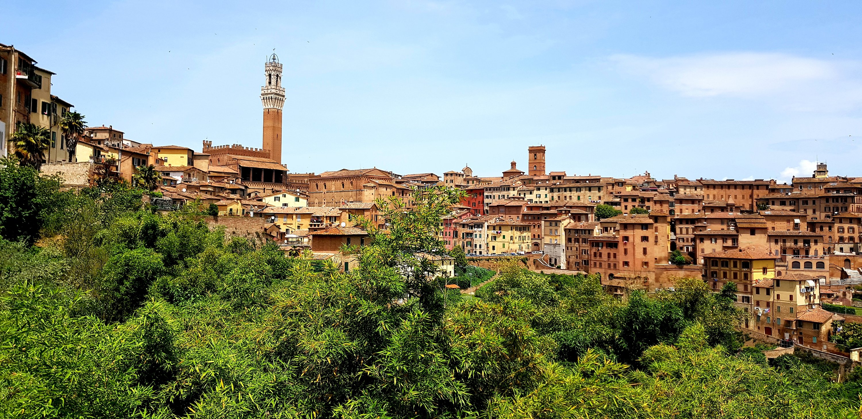 FR02 Over de Via Francigena naar Siena en verder… (San Gimignano- Siena – San Querico d’Orcia 96 km)