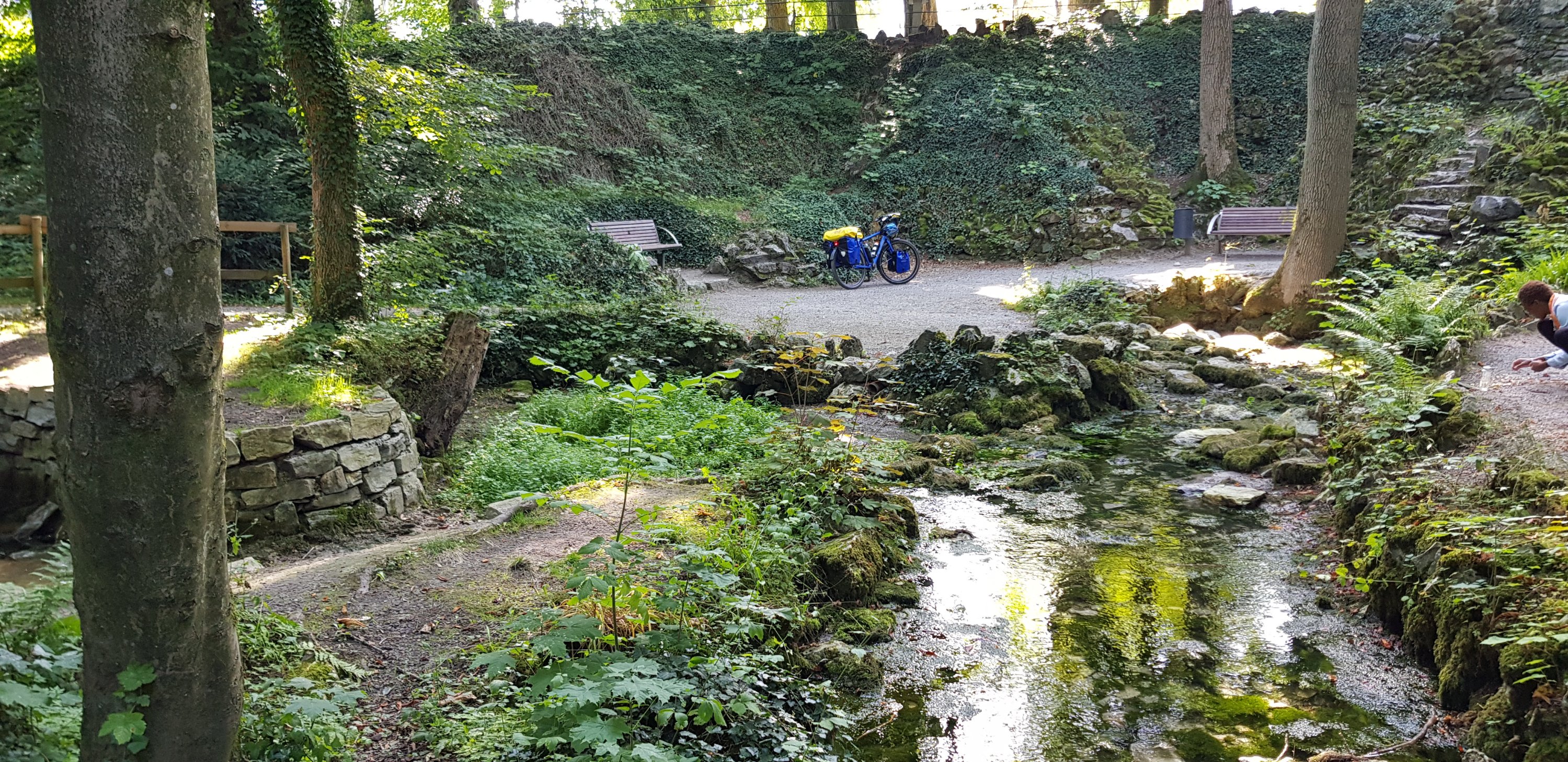 A tranquil forest scene featuring a small stream surrounded by lush greenery, smooth stones, and a lone blue bicycle parked nearby. A person is seen kneeling near the water, with benches situated in the background.