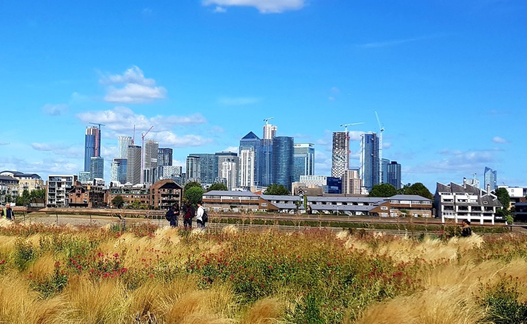 A view of a modern city skyline with tall skyscrapers under a blue sky, featuring a mix of construction cranes and greenery in the foreground.