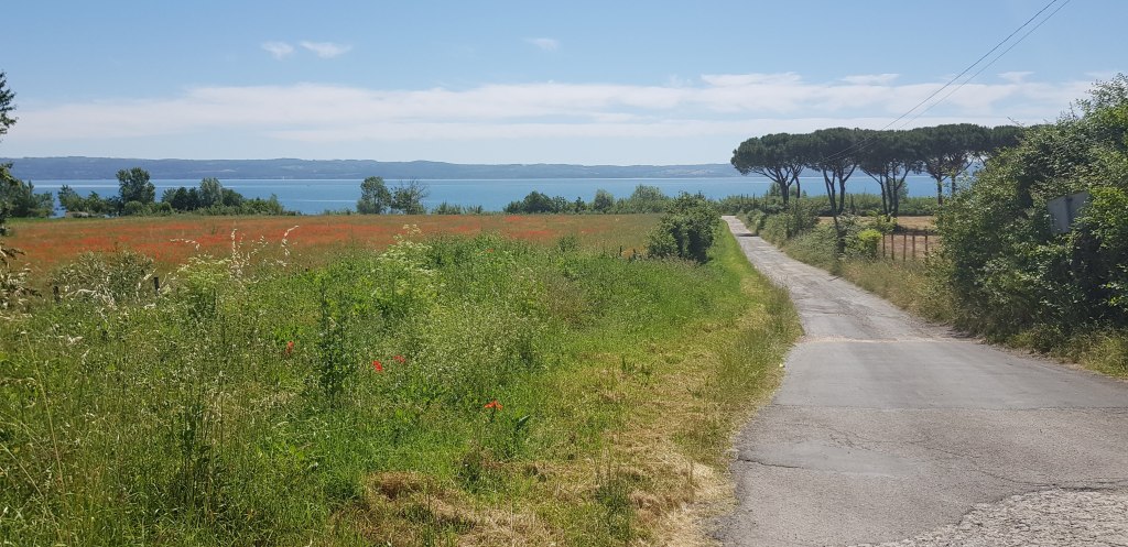 een weg naar het meer van Bolsena