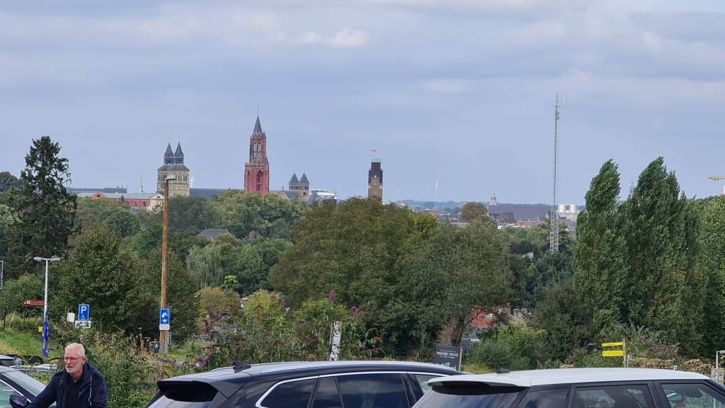 A panoramic view of a cityscape featuring various church towers and buildings among green trees, with vehicles parked in the foreground.