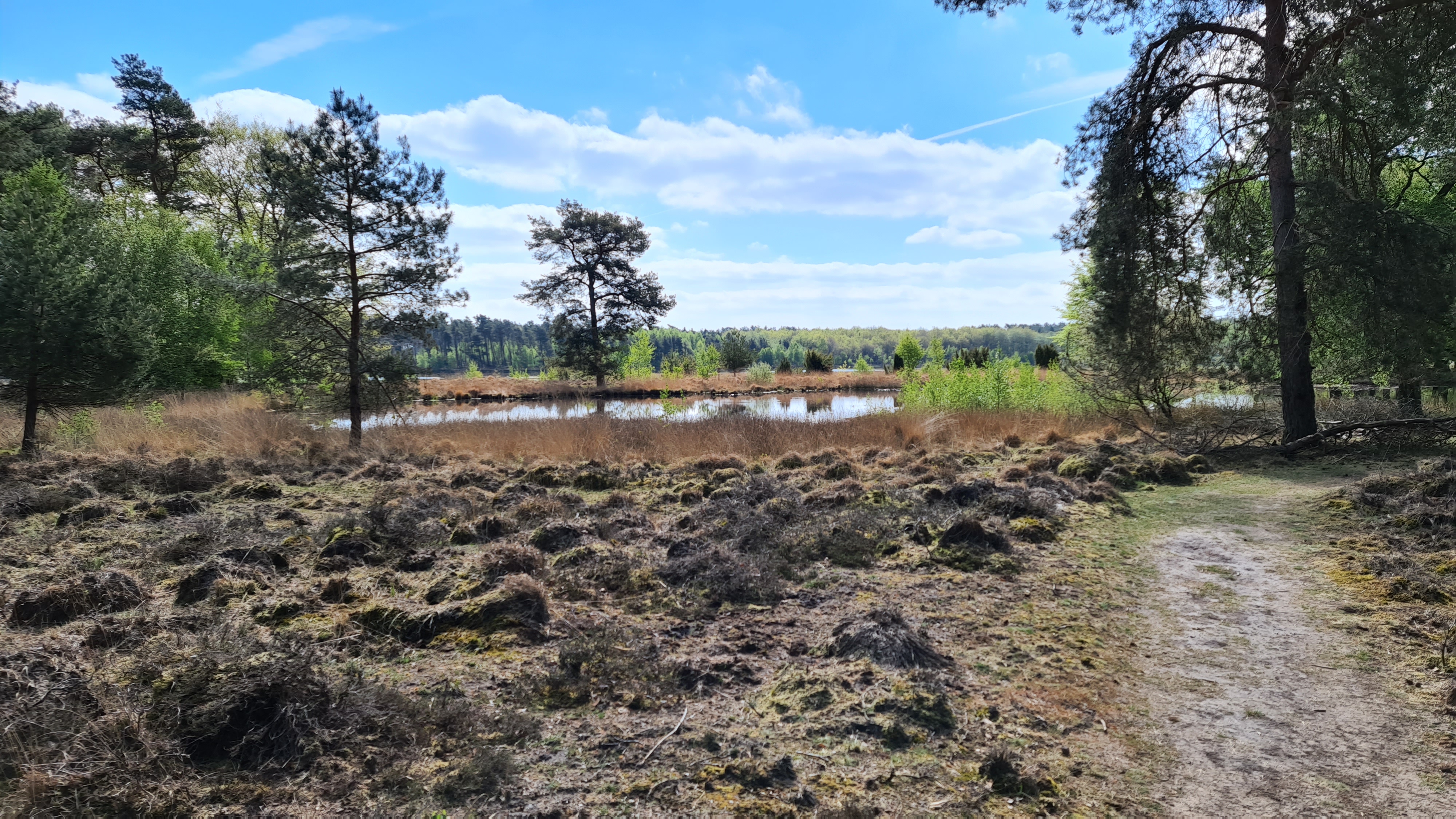 DR02 Dwars door het Dwingelderveld (Hoogeveen, Dwingeloo 75 km)