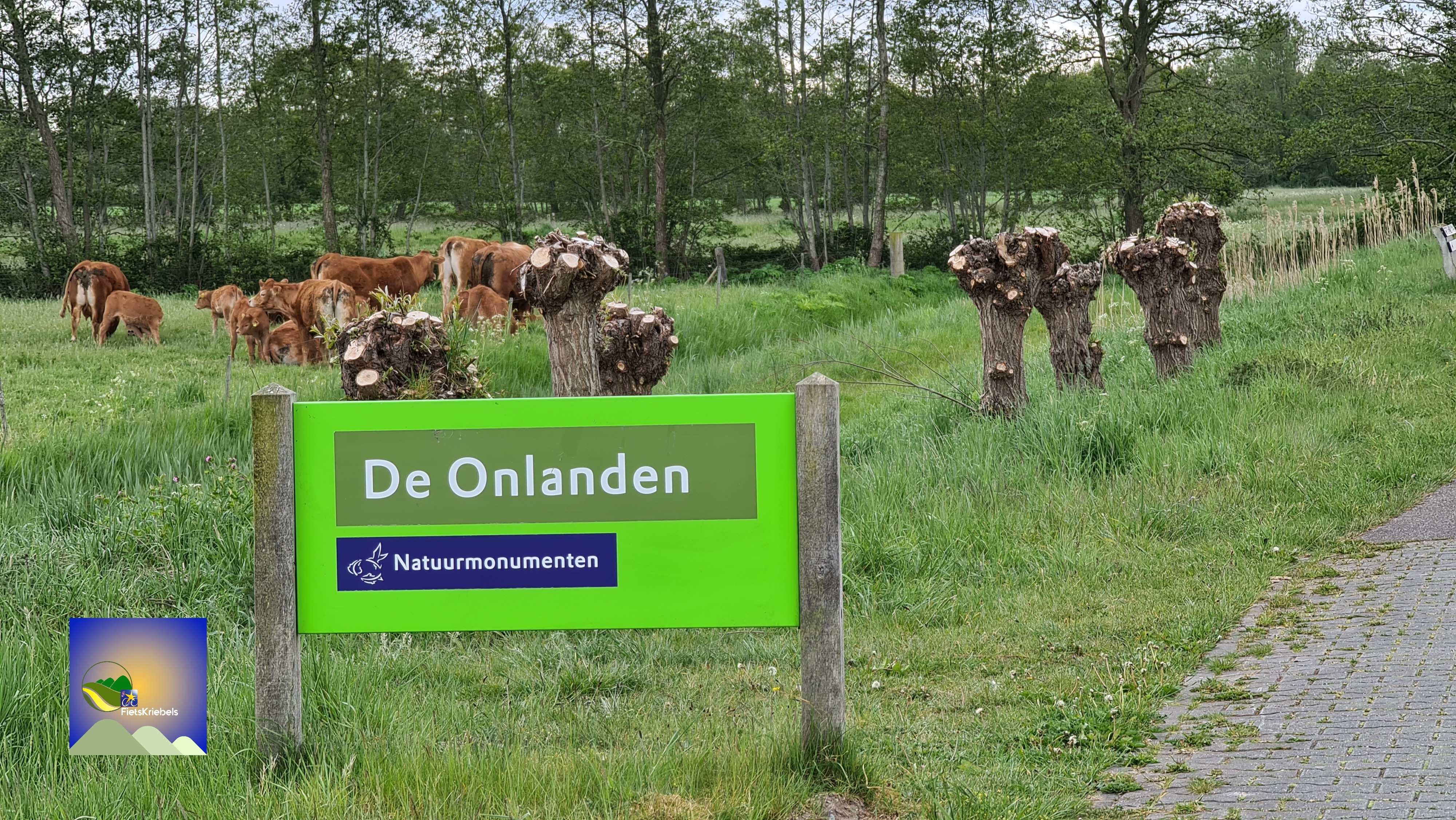 RDR02 Onlanden,  Drentsche Aa en de Hondsrug (Veenhuizen – Exloo 106 km)