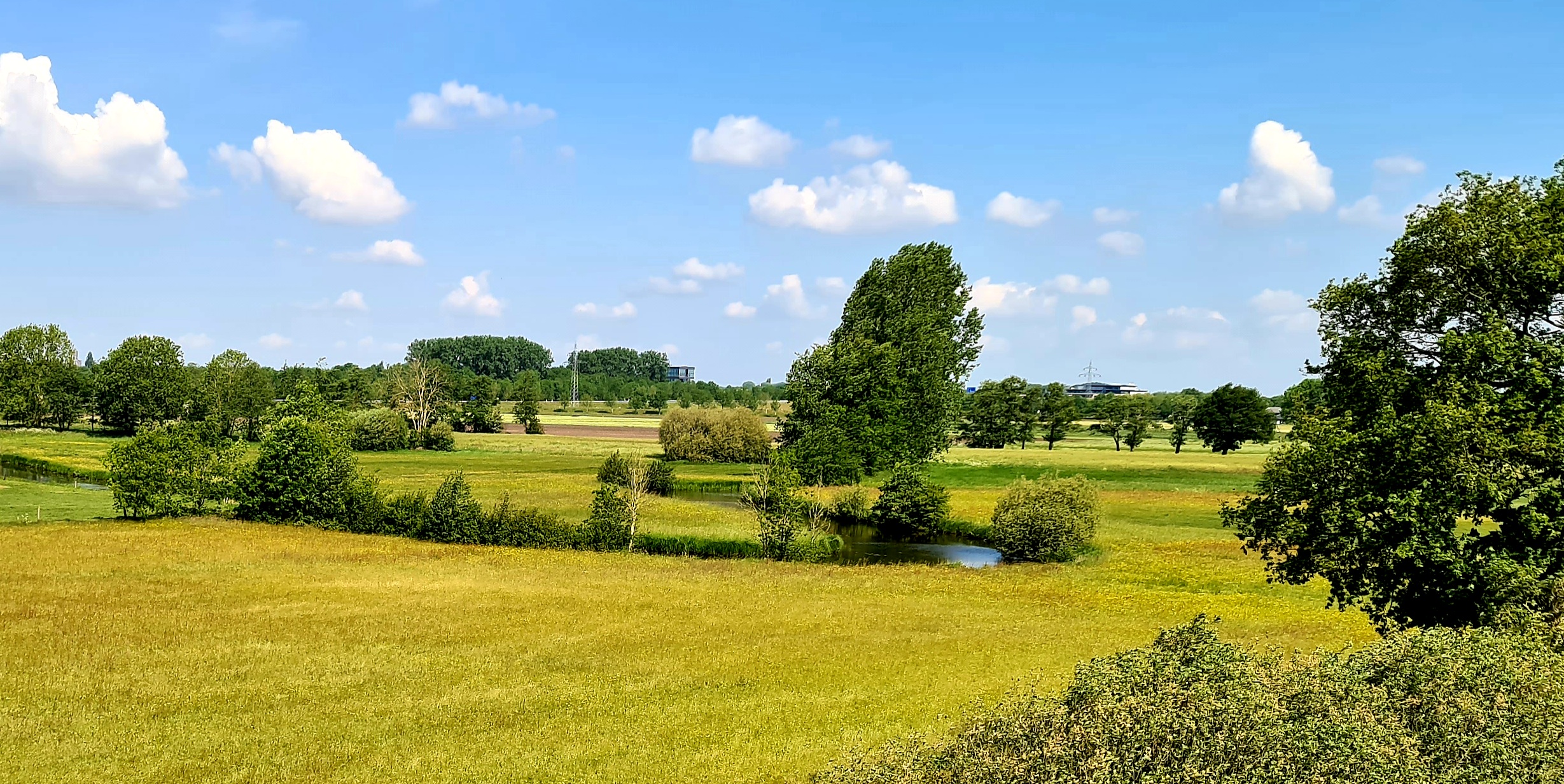 RDR04 Door het Reestdal (Hollandscheveld – Meppel 39 km)