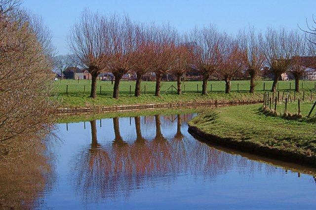 A serene landscape featuring a calm river reflecting bare trees and a green field under a clear blue sky.