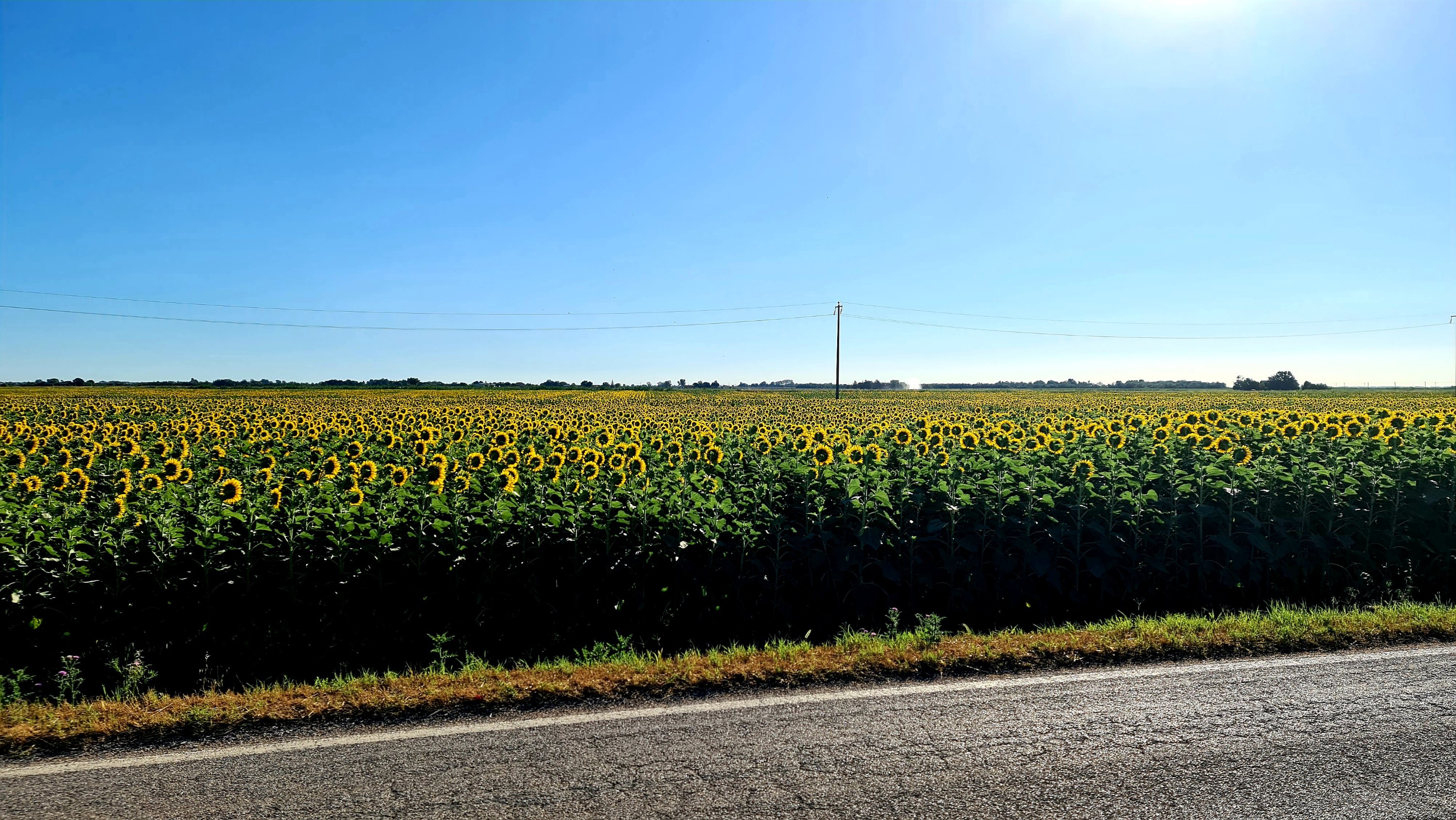 ZBR21 Vanuit de Polder naar de Rivièra Adriatico (Quartiere – Milano Marittima 103 km 94 hm)