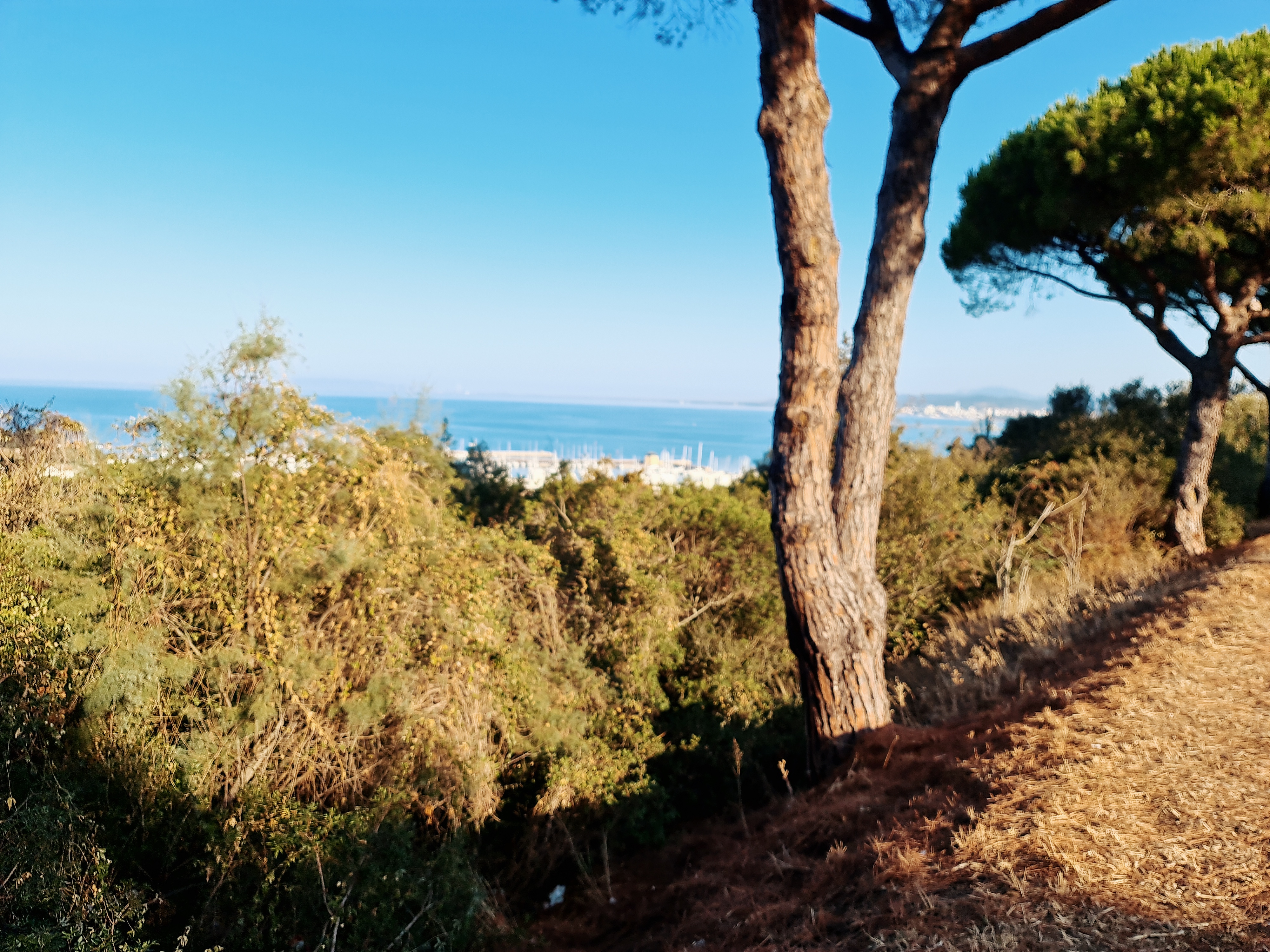 RN04 Baia Etrusca (Castiglione – Marina di Bibbona 88 km 363 hm)