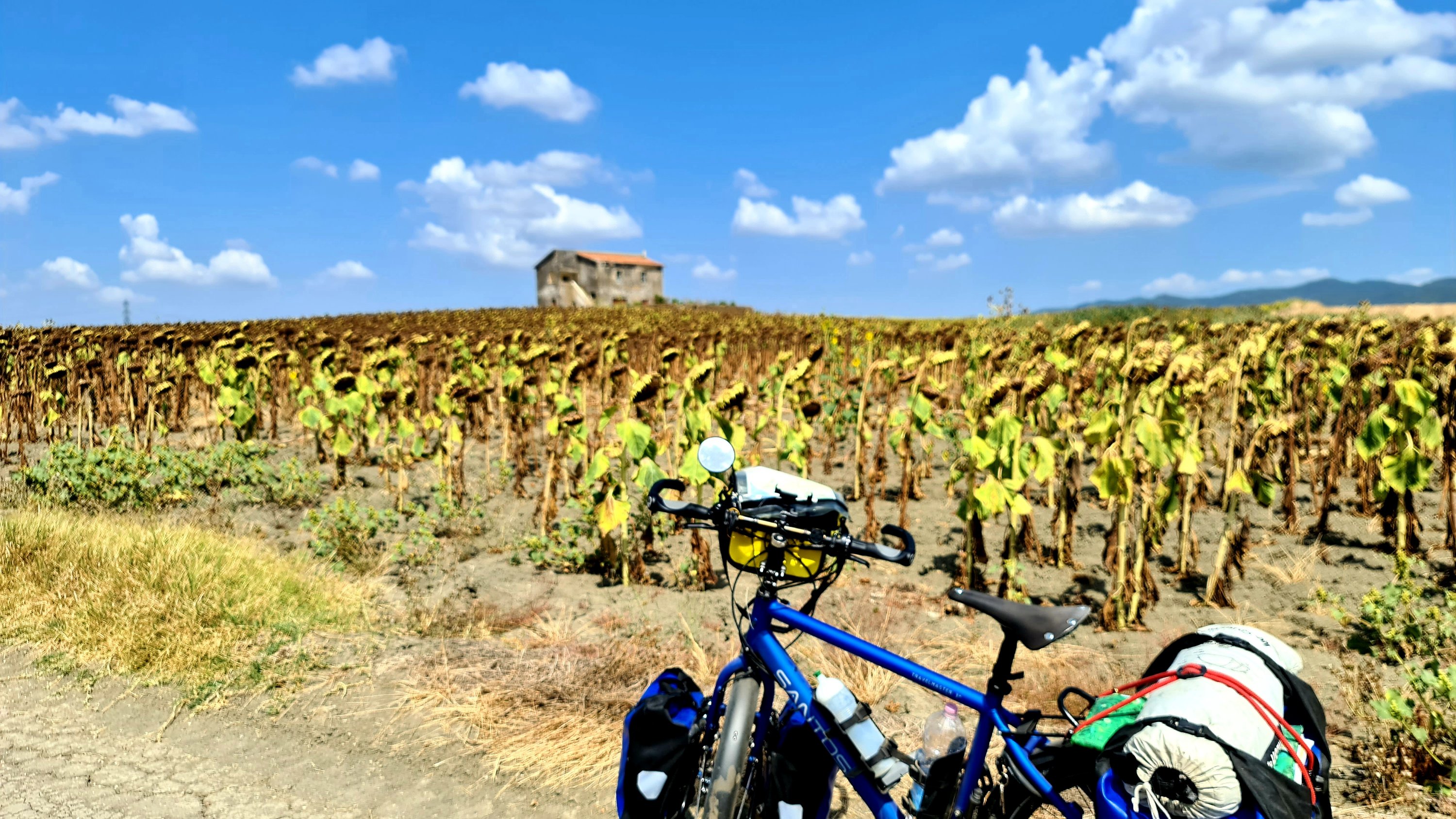 RN02 Torre di Maremma (San Severa – Capalbio 90 km 490 hm)