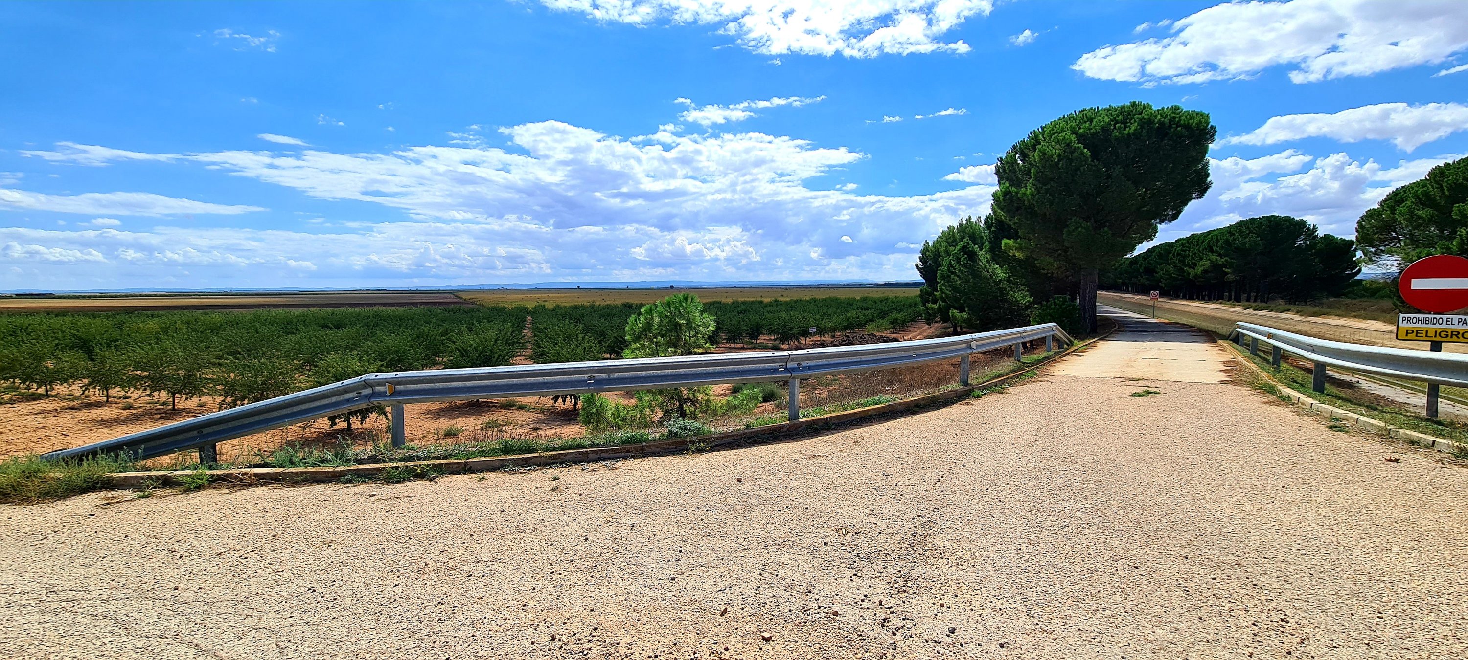 AL16 Weids La Mancha (Olmedilla  – Barrax 96 km 396 hm)