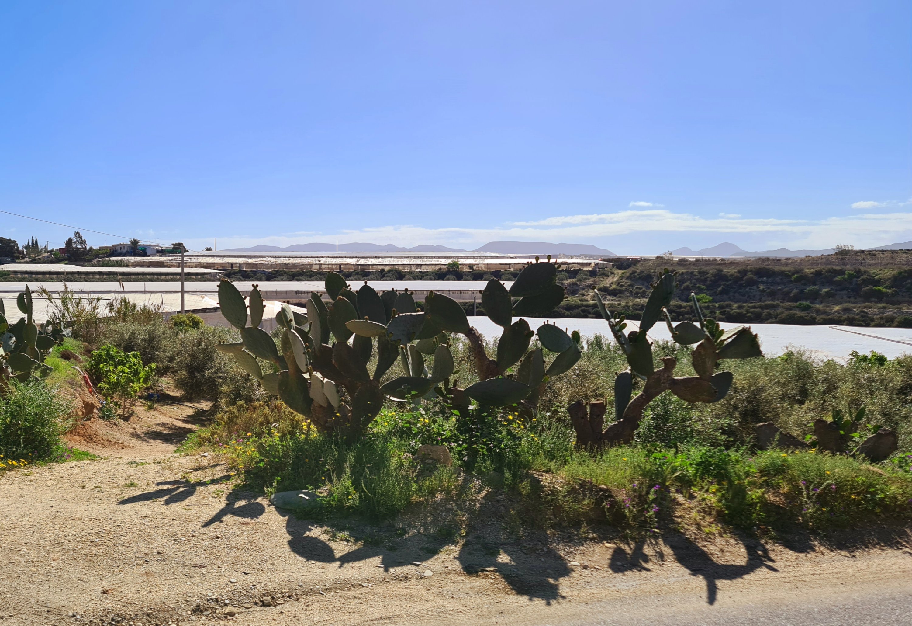 LS03 Glazen Steden ( Agua Amarga – El Alquián 60 km 423 hm)