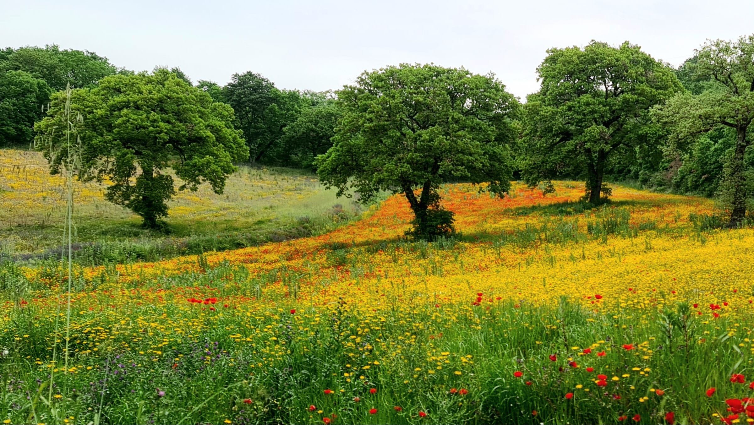 BC01 Naar Het Hart Van Italië? (Bolsena – Narni 85 km 1.149 hm)