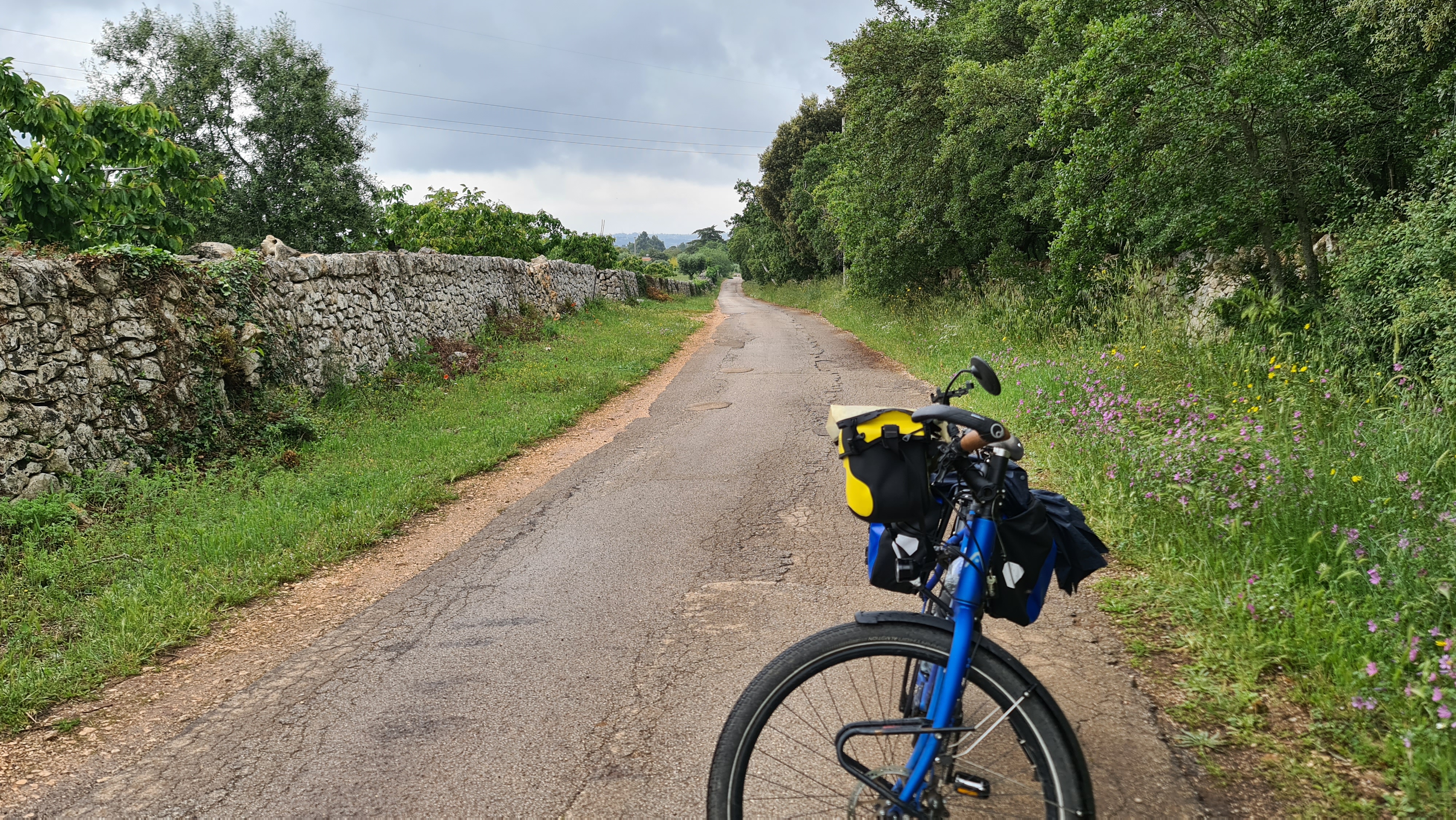BC11 +12 Sinterklaas & Trulli in zicht (Ruvo di Puglia – Bari [49 km 143 hm] – Locorontodo 94 km 874 hm])