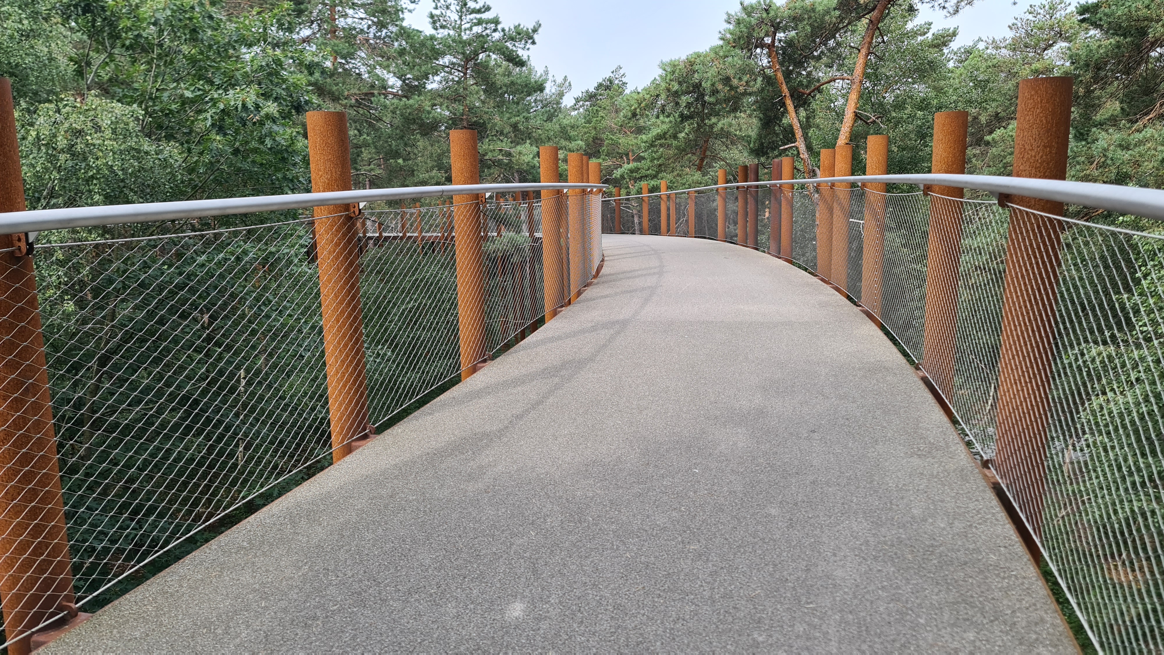 DR23 Fietsen Tussen De Bomen (Hechtel-Eksel 56 km)