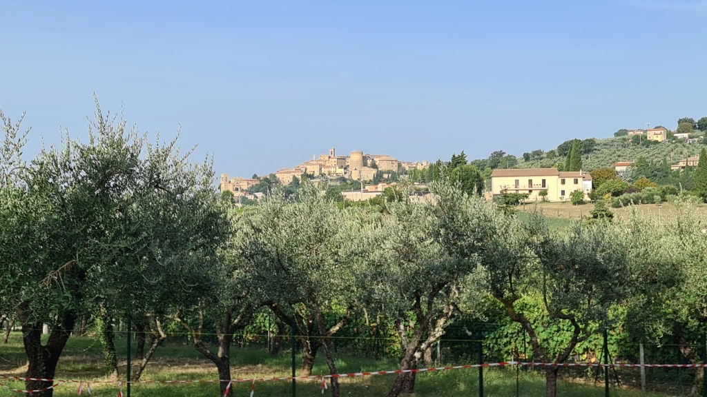 Uitzicht op een heuvelachtig landschap met olijfbomen en een middeleeuws dorp op de achtergrond onder een heldere blauwe lucht.