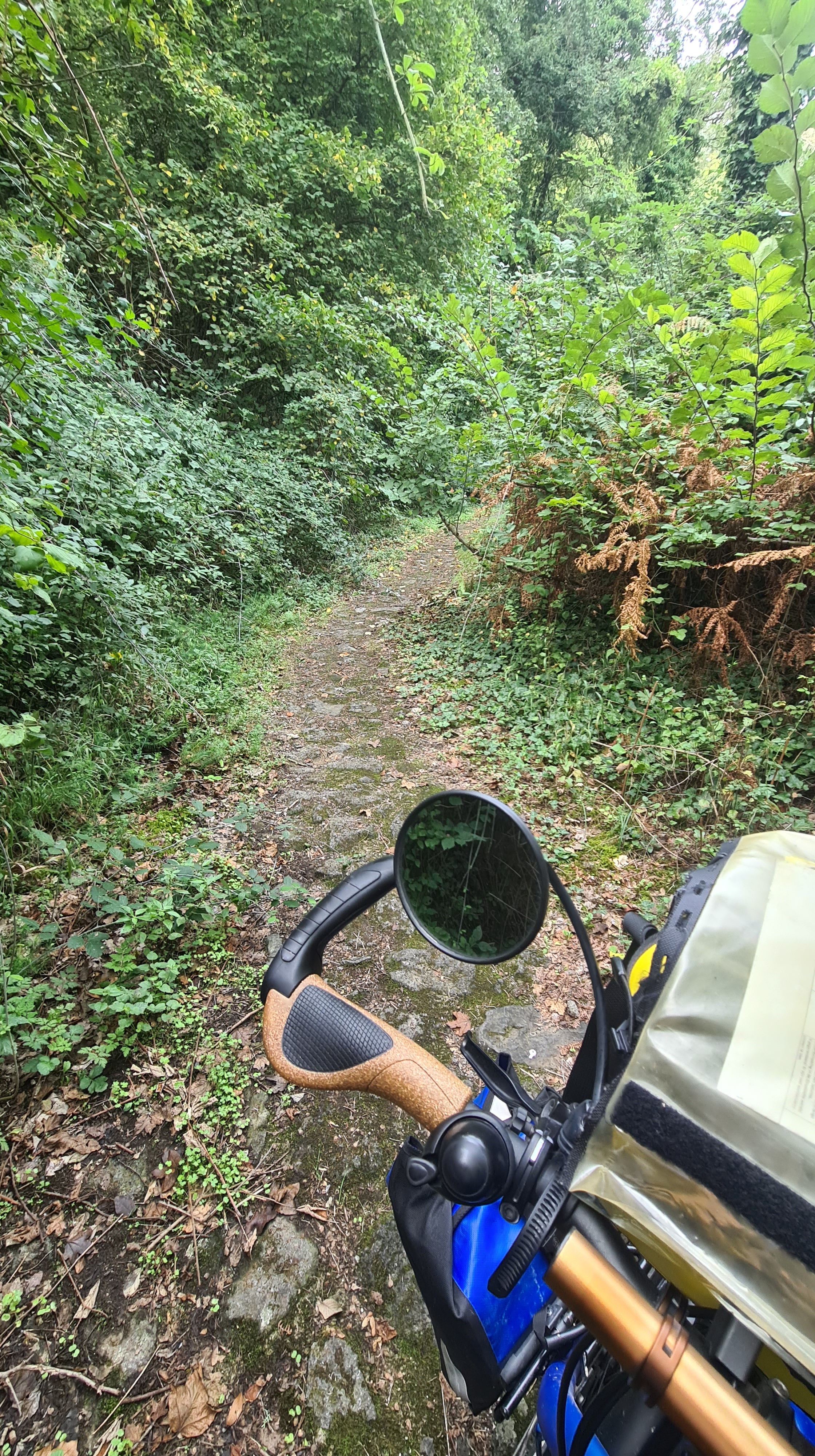 AO06 Una Via Etrusca (Civitella del Lago – Lago di Bolsena 53 km 906 hm)