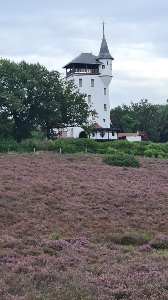De Palthetoren op een bloeiende paarse heide