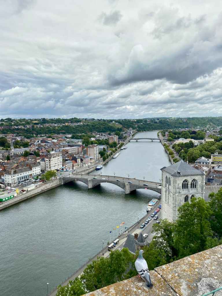 A panoramic view of a river with multiple bridges connecting both sides, surrounded by buildings and greenery under a cloudy sky, with a pigeon in the foreground.