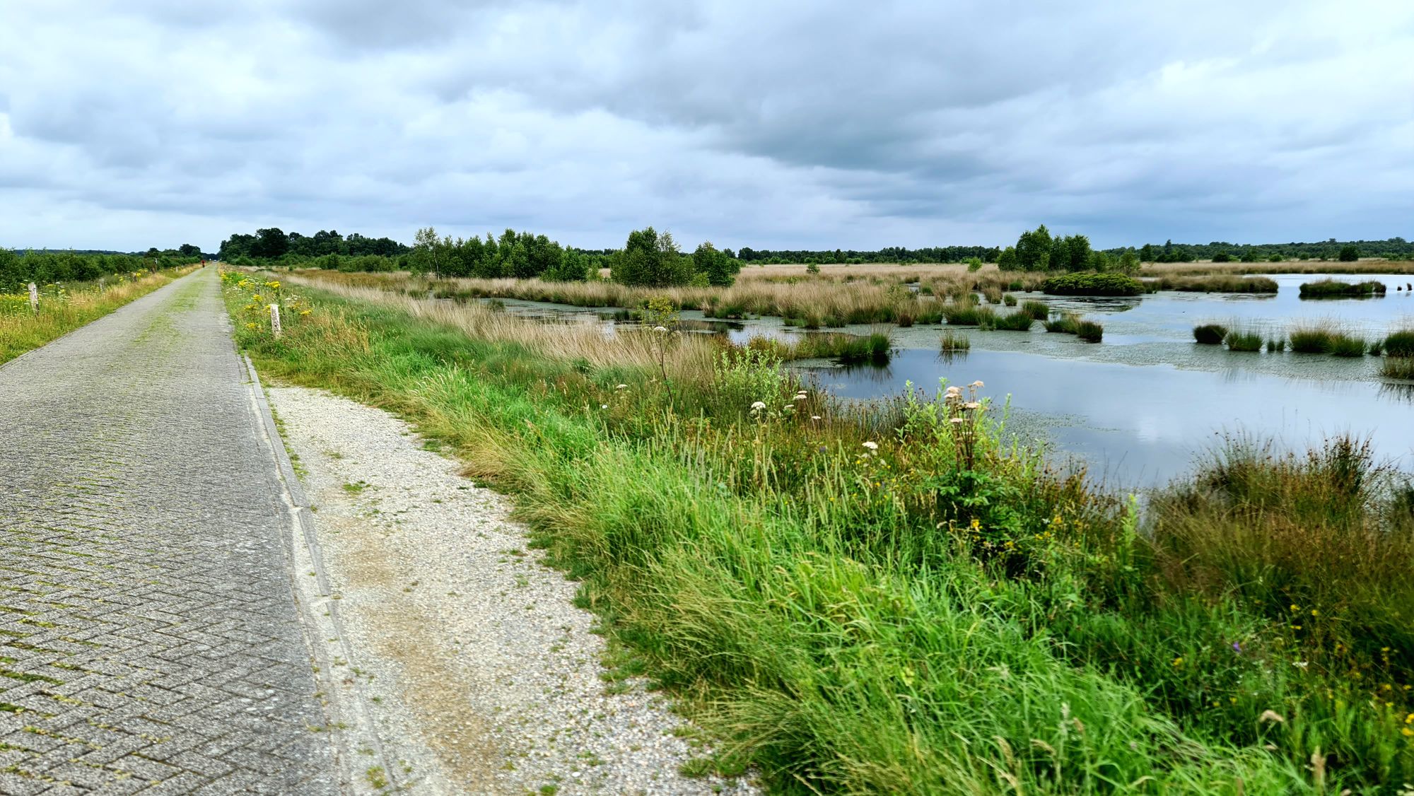 RFR04 Bos en Bui (Rottevalle – Wolvega 98 km 93 hm)