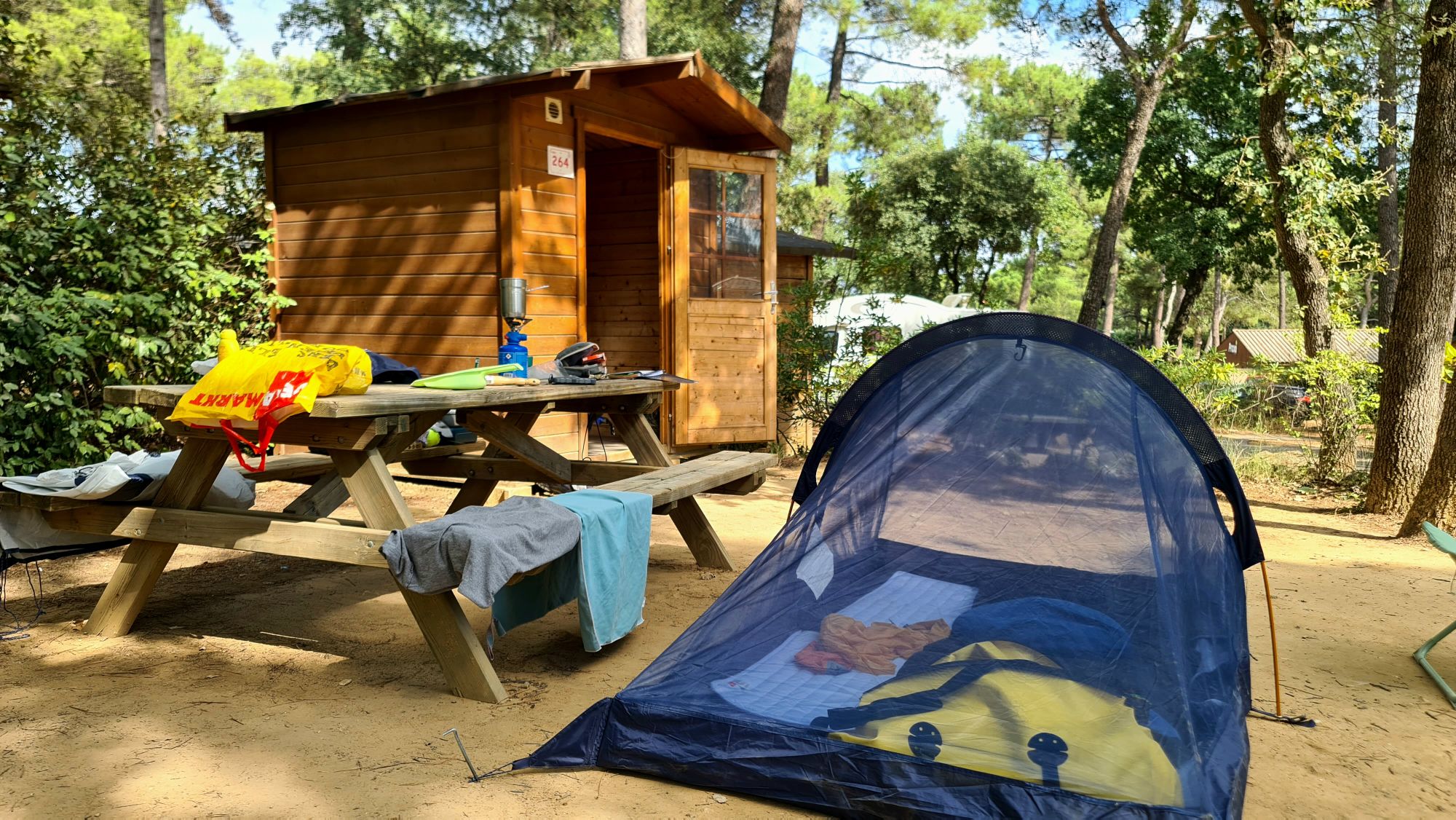 Een campingplek met een houten hut, een picknicktafel en een tent onder bomen.