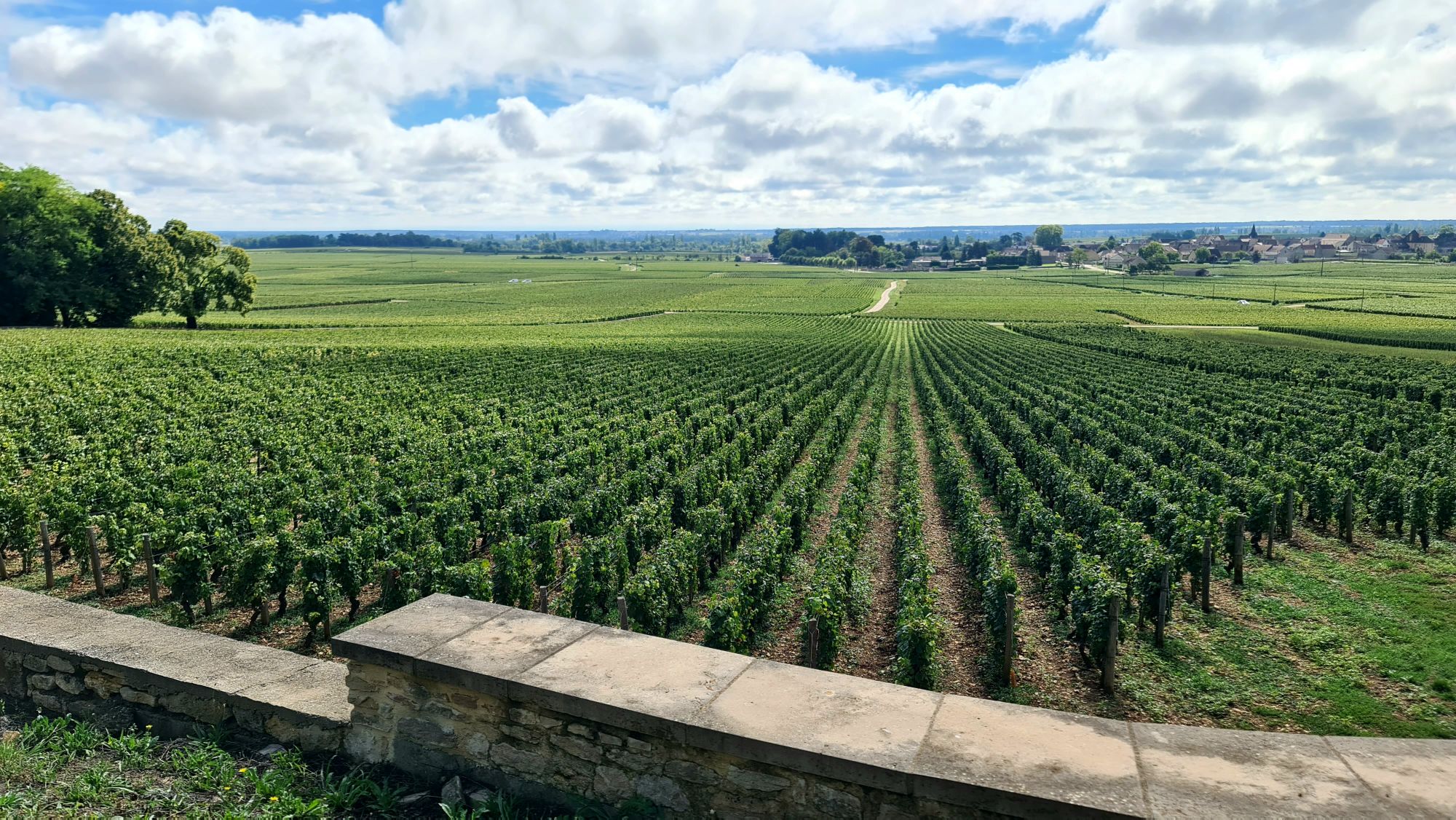 AM07 Wijndo(r)pelingen (Saint Marcel – Premières 104 km 496 hm)