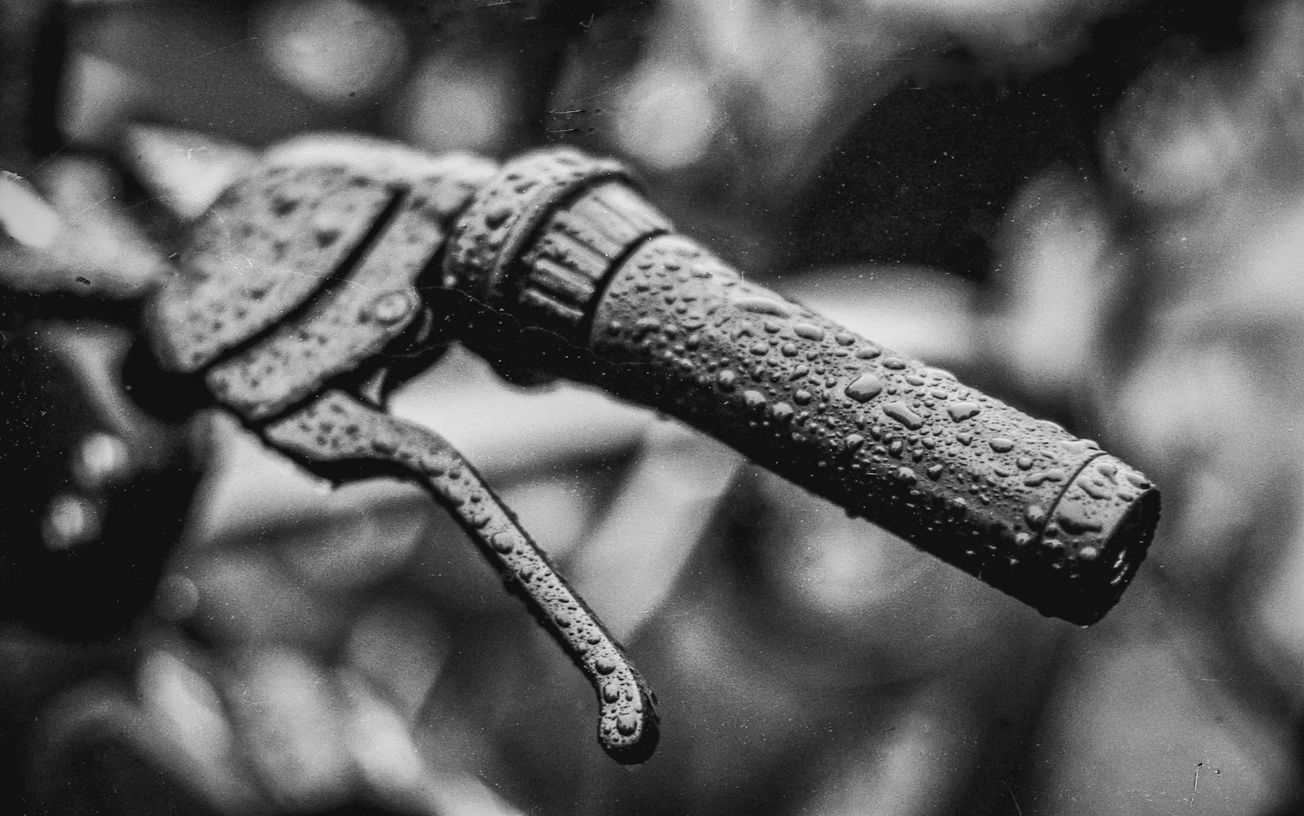 FietsKriebelsKrant 2024-11