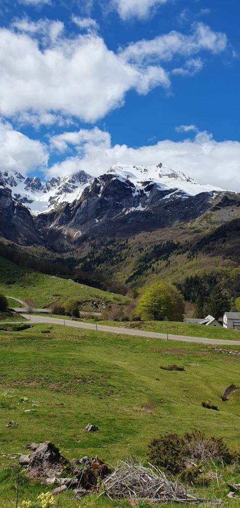 Pittoresk berglandschap met besneeuwde toppen en groene velden onder een heldere blauwe lucht.