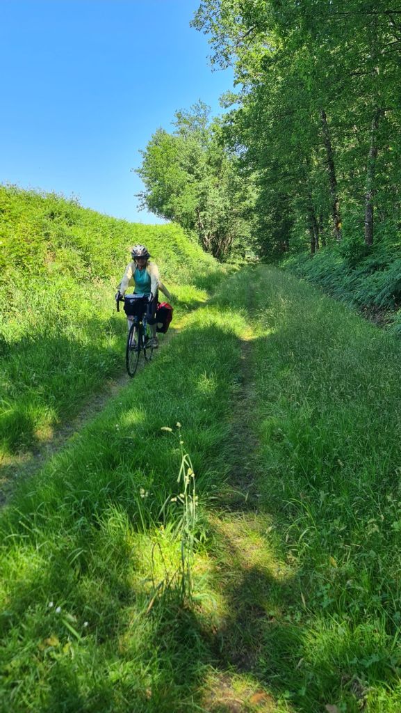 Een fietser rijdt op een groen pad omringd door bomen en weelderig gras onder een blauwe lucht.