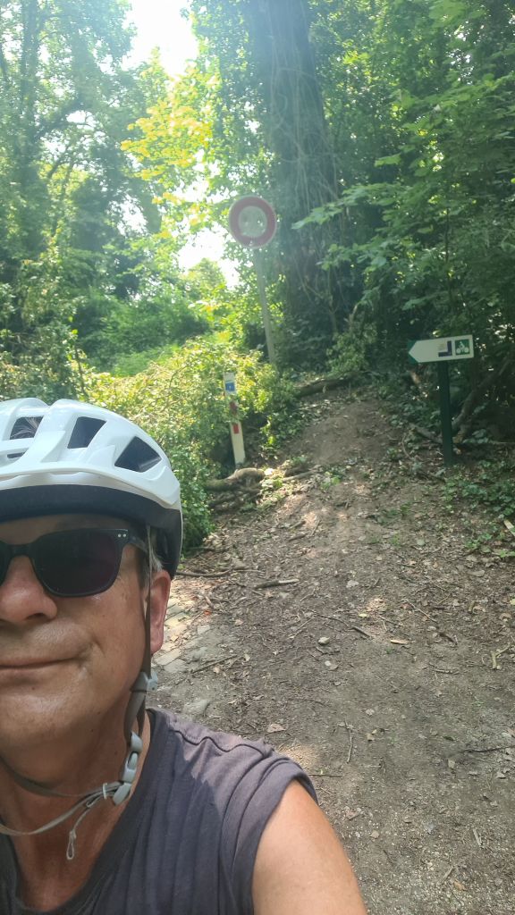 Fietser met een helm en zonnebril op een smal pad omringd door groen, met een verkeersbord op de achtergrond.