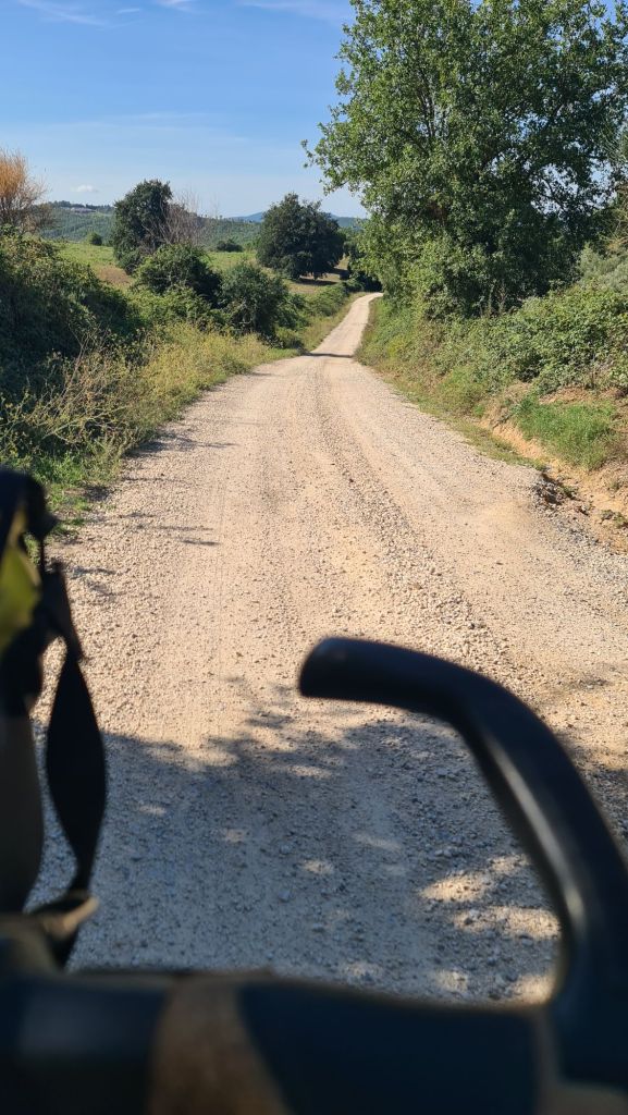 A gravel road winding through a lush green landscape under a clear blue sky, viewed from a low angle.