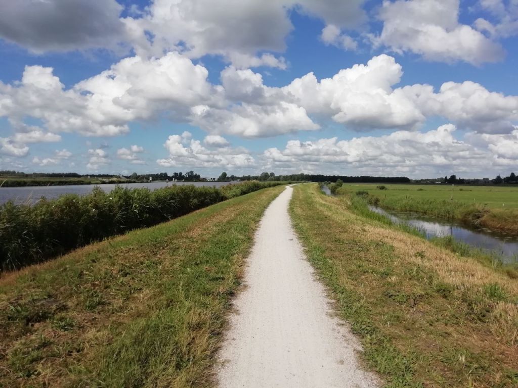 A scenic pathway beside a river, bordered by lush greenery and tall grass, under a blue sky with fluffy white clouds.
