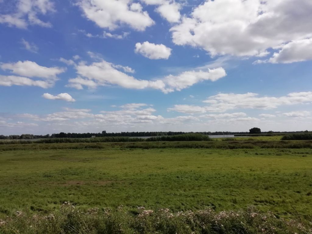 A scenic view of a green field under a bright blue sky with fluffy white clouds, featuring a distant body of water and trees lining the horizon.
