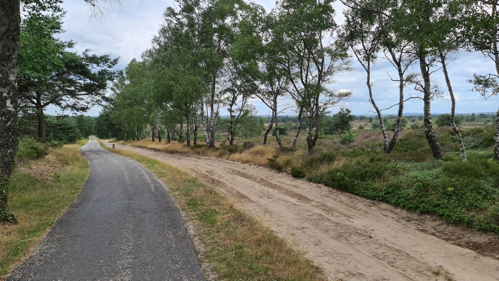 A scenic view of a pathway bordered by trees, with a paved path on the left and a sandy road on the right, set in a natural landscape.