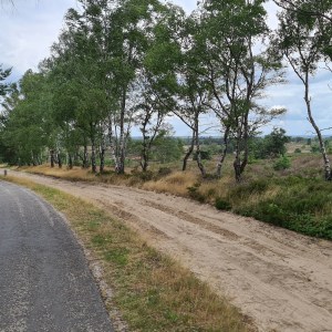 Nationale Parken Route + Extra Traject Texel–Friesland – GPX-Download