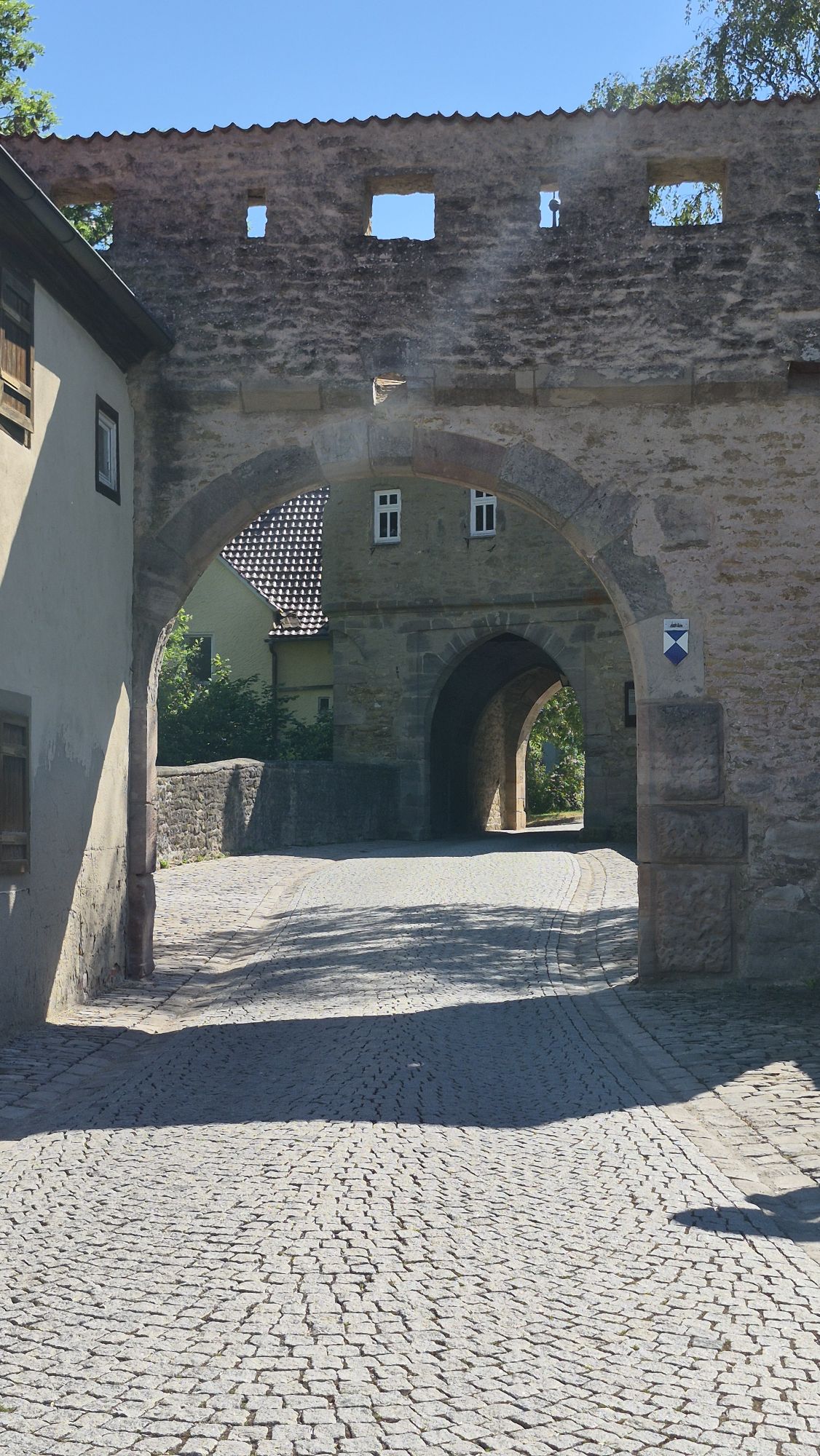 ZMü10 Van Main naar Frankenland (Würzburg – Dietenhofen)