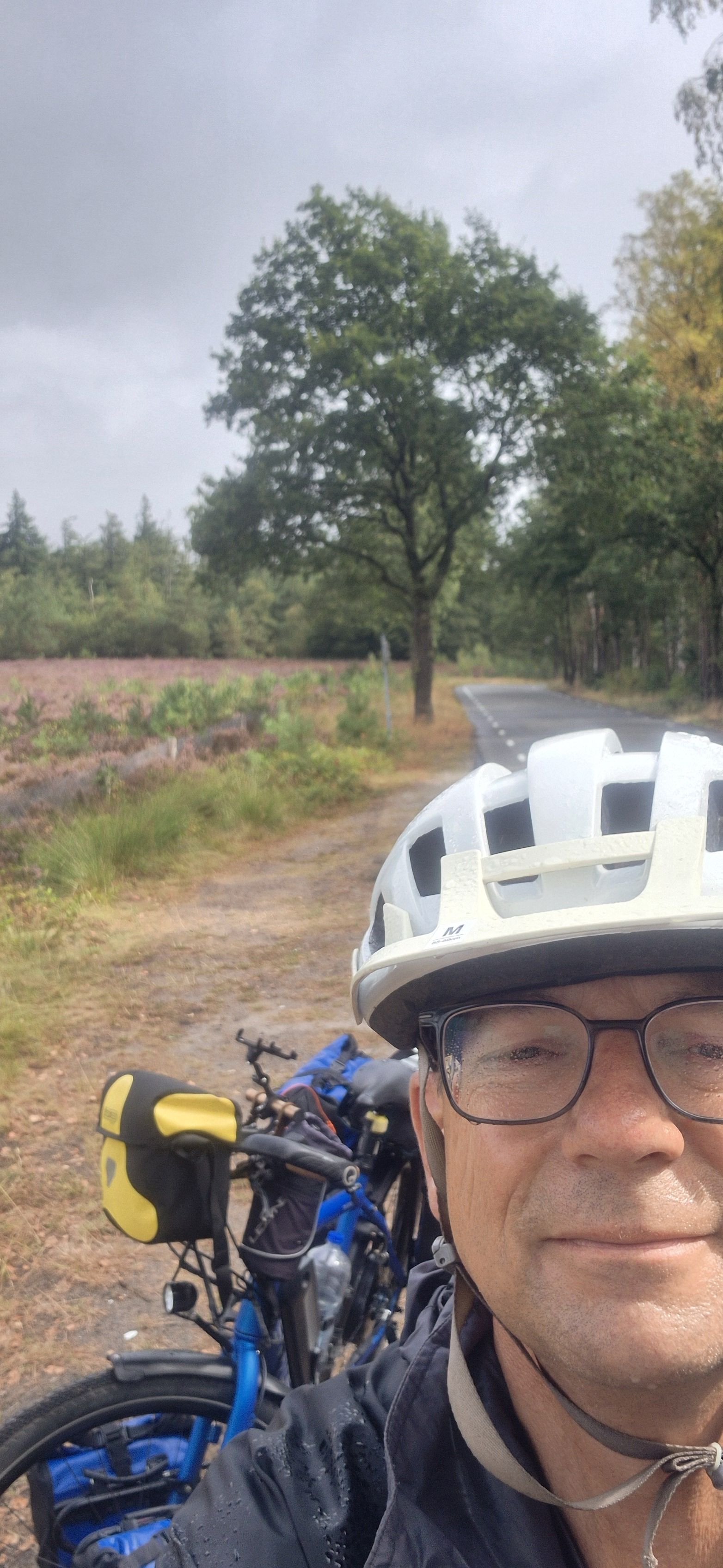 A cyclist wearing a helmet and glasses rides along a tree-lined rural road