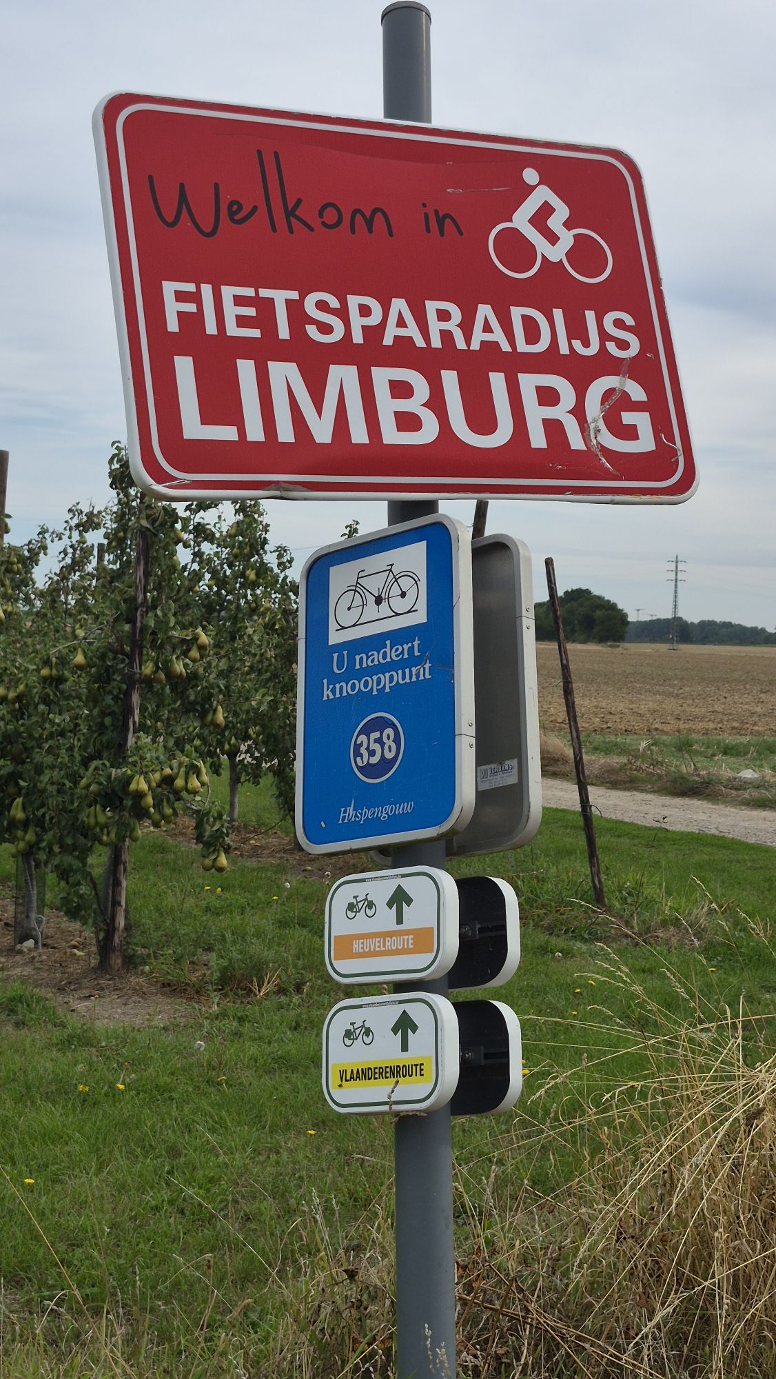 Bord Fietsparadijs Limburg tussen de fruitbomen van Haspengouw