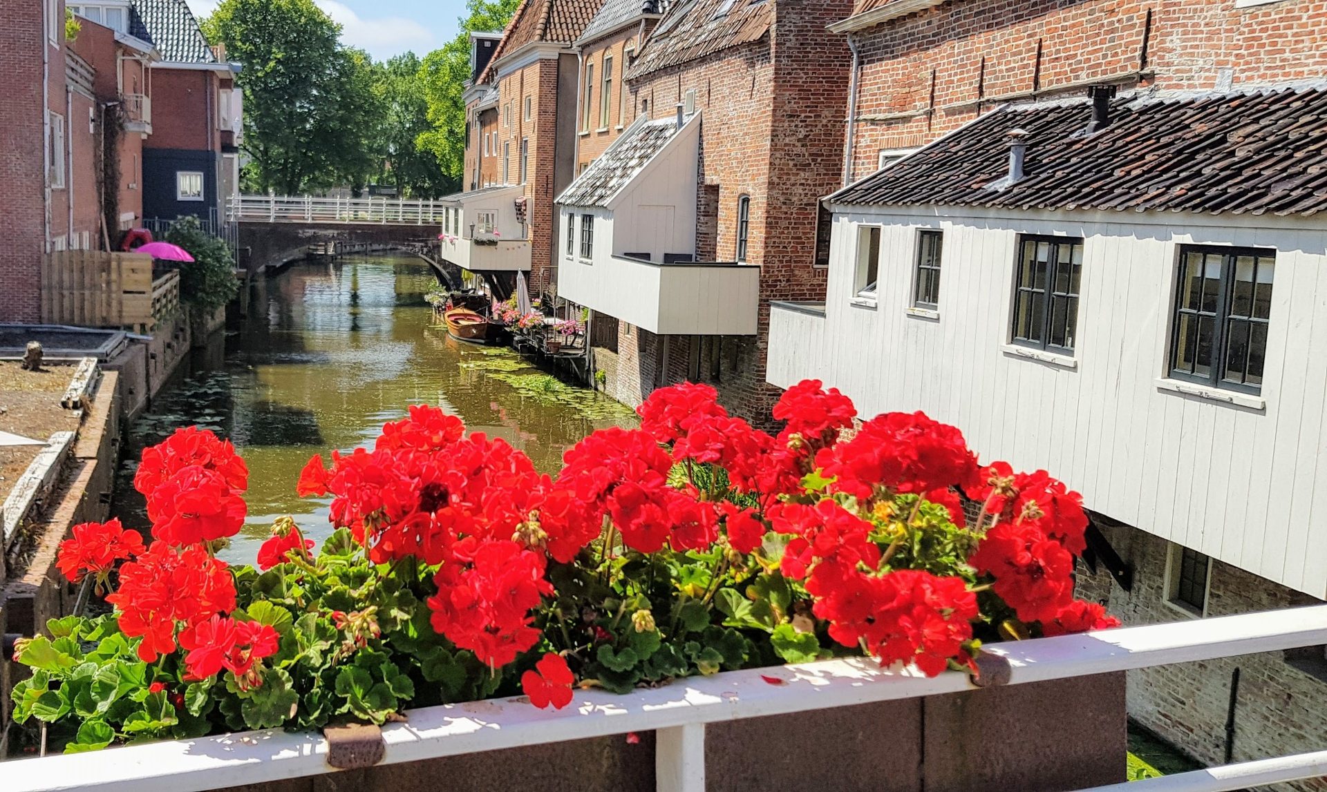 Hangende Keukens in Appingedam met rode bloemen op de voorgrond
